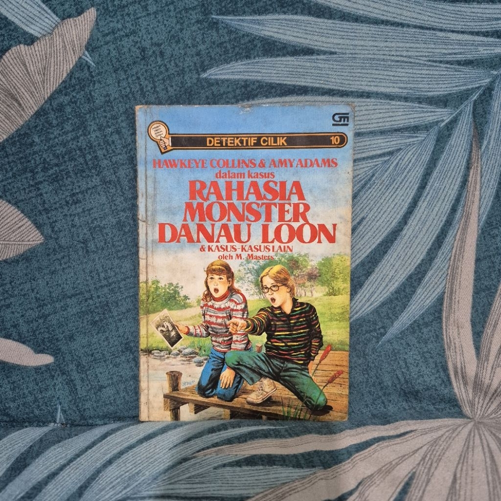 Little Detective Secret Monster Lake Loon Novel Book Hawkeye Collins Amy Adams