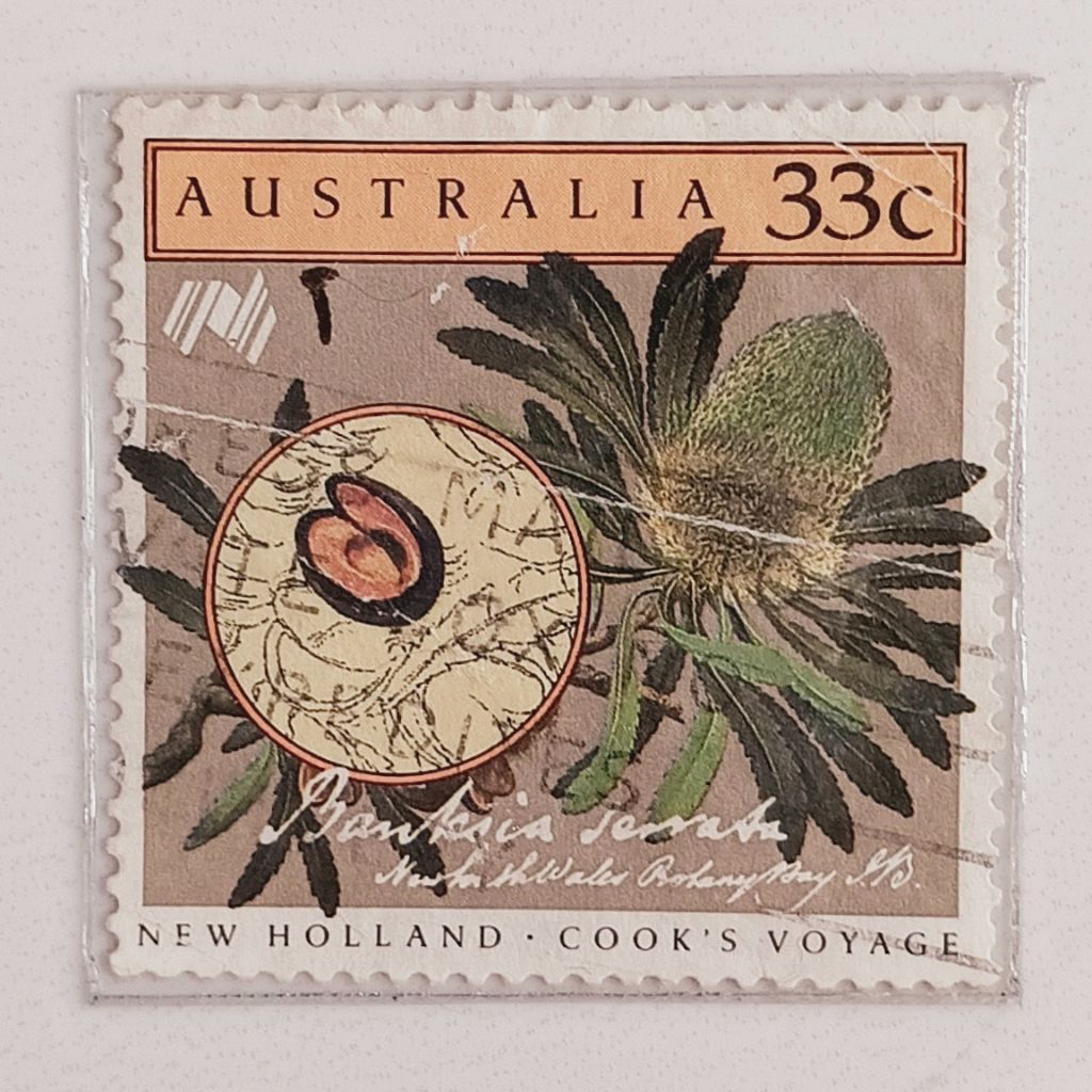 (AD) แสตมป์ออสเตรเลีย 1986 Bicentary of Australia Settlement - Cooks Voyage (4) - Banksia serata 33 