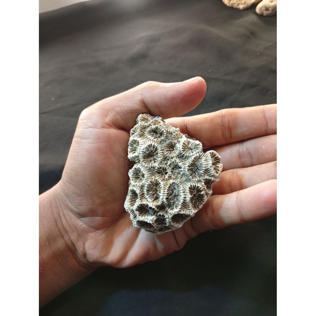 หินธรรมชาติไม่ซ้ําใคร A68