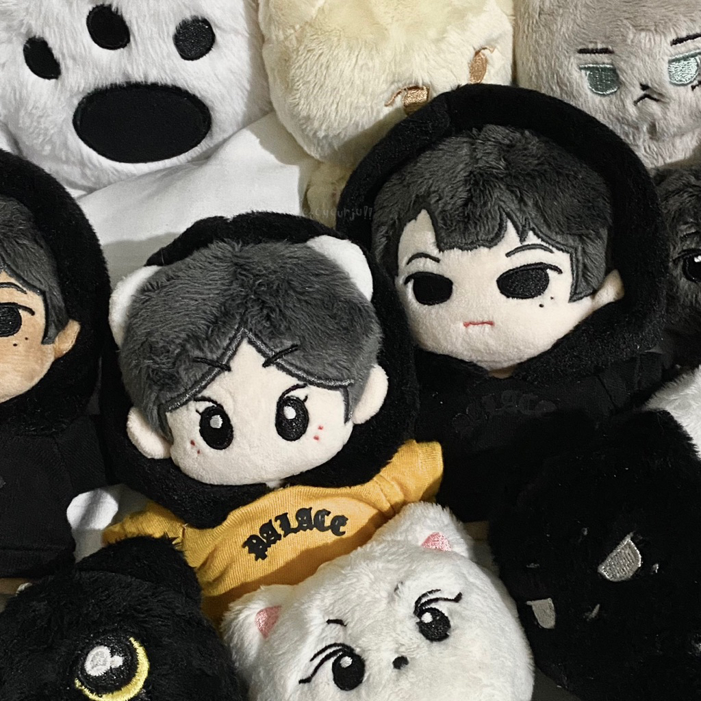 Enhypen jay juongwon meowz yaongz 10 ซม. เสื้อผ้าตุ๊กตา ตุ๊กตา fanmade สินค้า