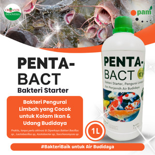 Bakteri Starter Budidaya Ikan dan Udang PENTA-BACT | Bacillus  Bakteri Lactobacillus Saccharomyces