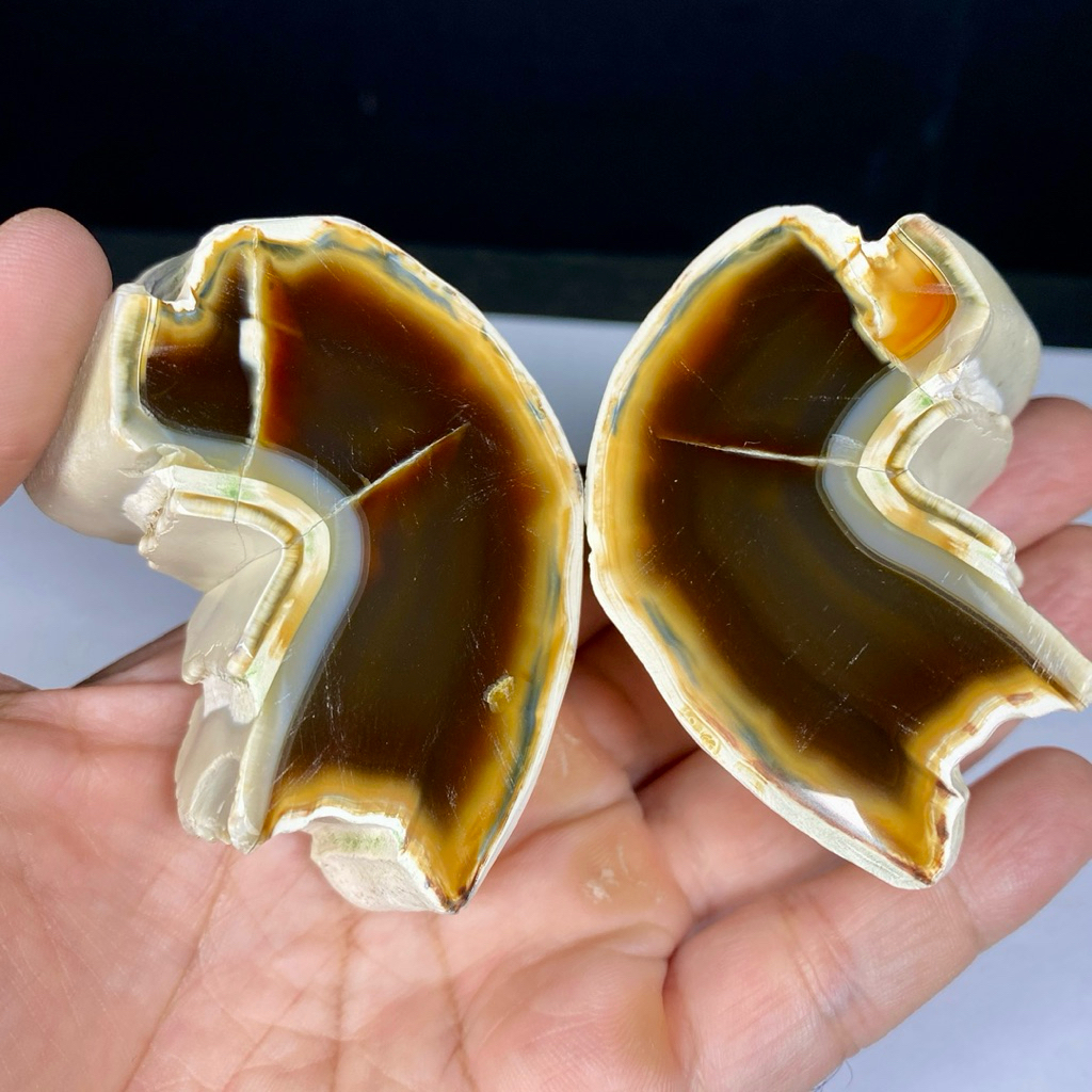 Natural Agate Nodule - Chalcedony Slice Agate - Agate Nodul Stone Chunk - คอลเลกชันพลอย