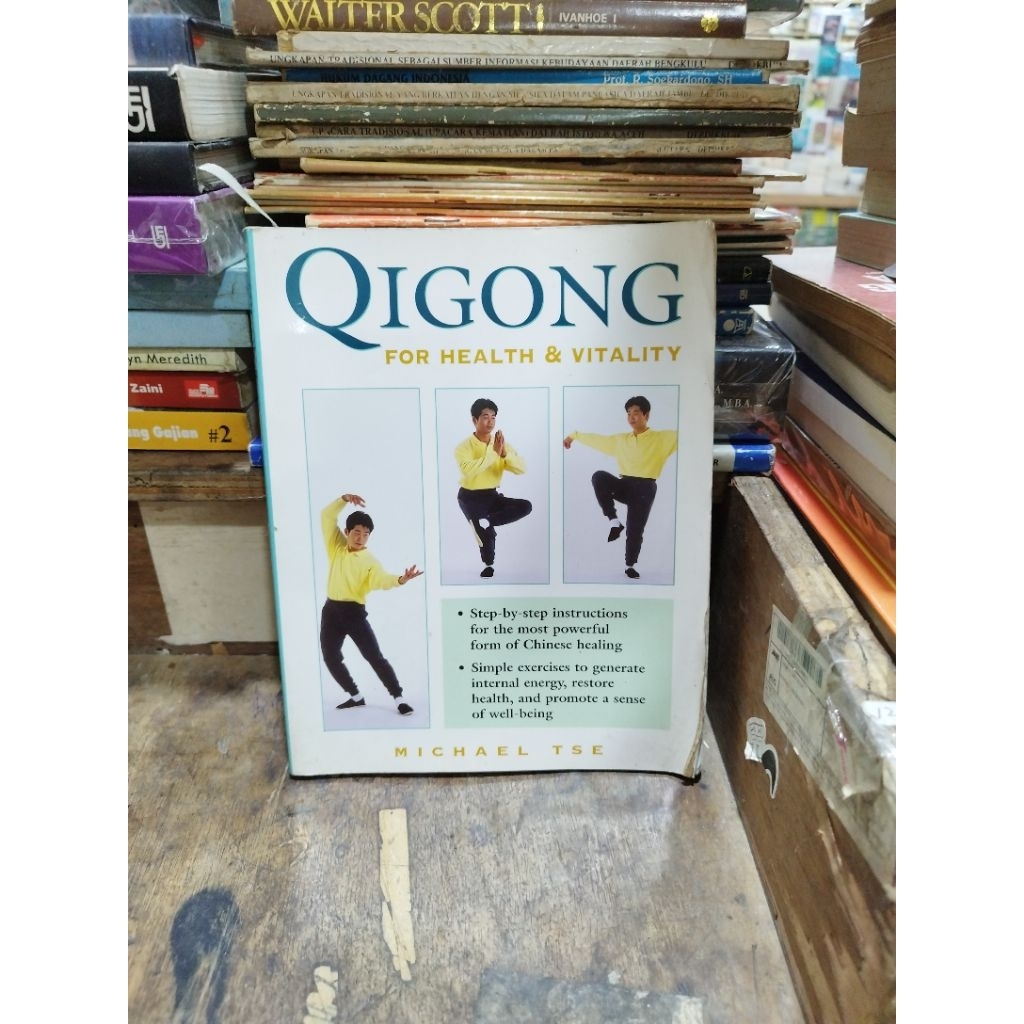 Qigong For Health & Vitality - Michael Tse