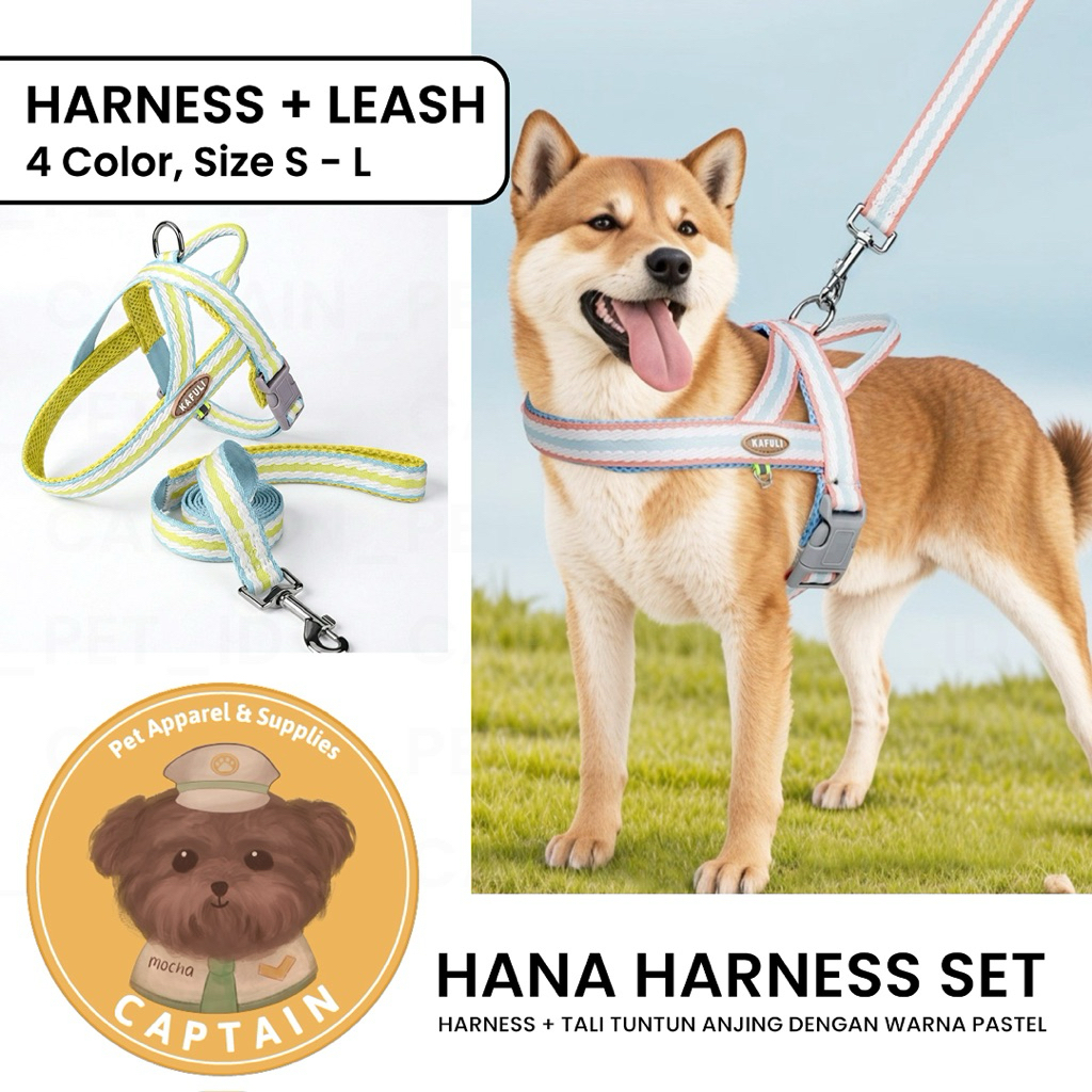 HANA DOG HARNESS SET LEASH PET LEASH KOREAN DOG COLLAR POODLE BICHON PAMERANIAN