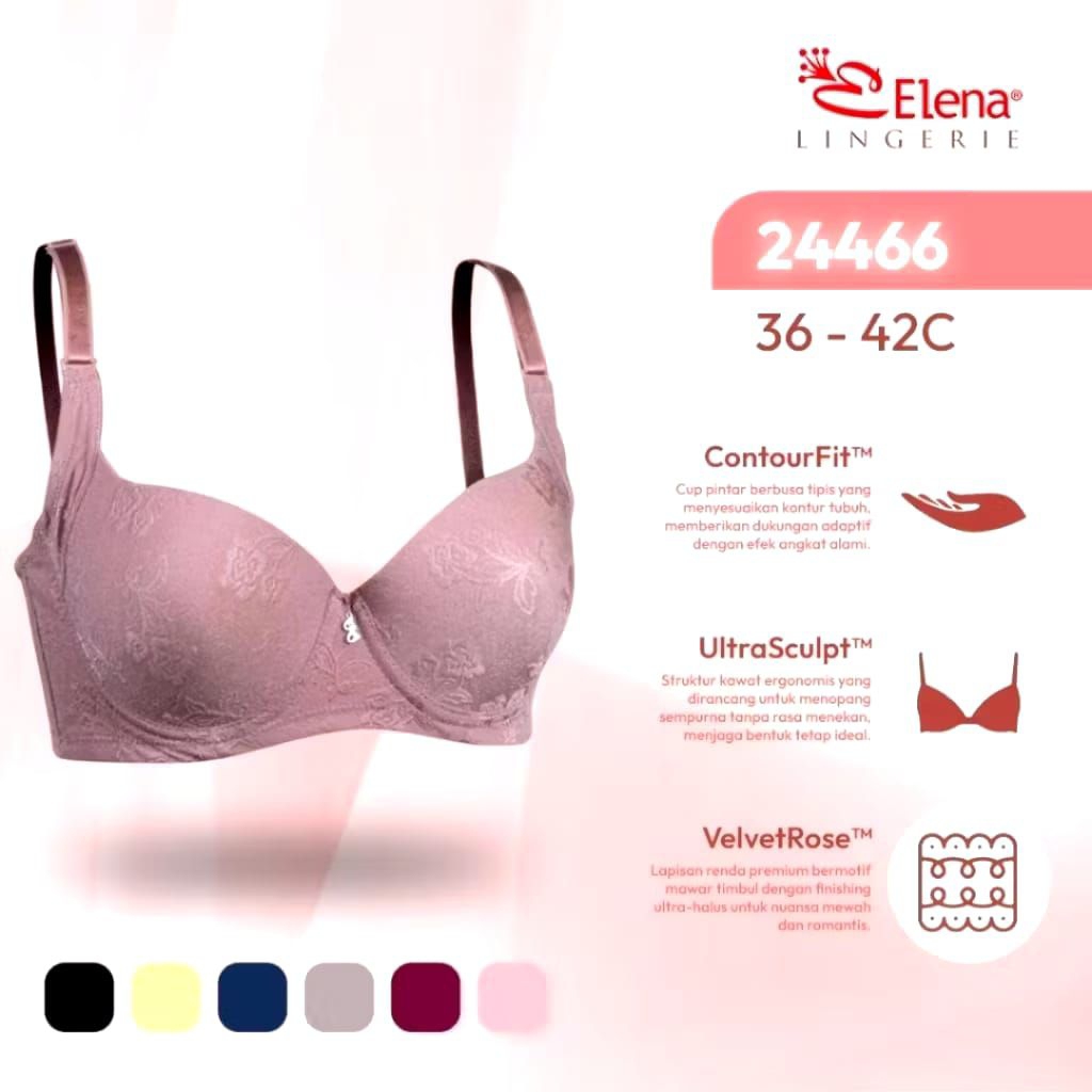 New Bra เอเลน่า 24466C Large Cup Thin Foam ขนาด 36C - 42C ชุดชั้นในสตรี BH