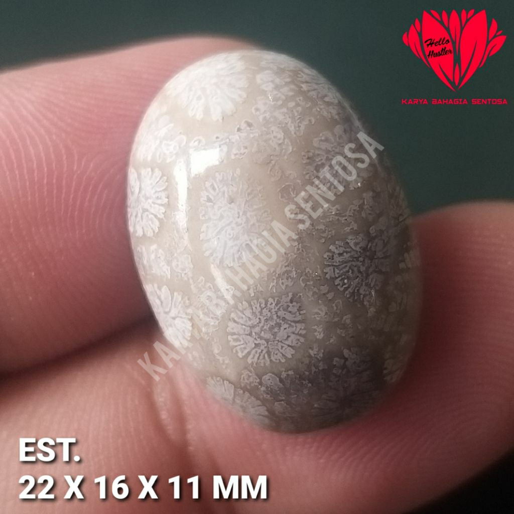 Sentosa Natural Coral Signature Collection อัญมณีดอกบัวมีความสุข