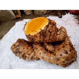 Temulawak Super Besar Sudah Cuci Grade A 1 Kg