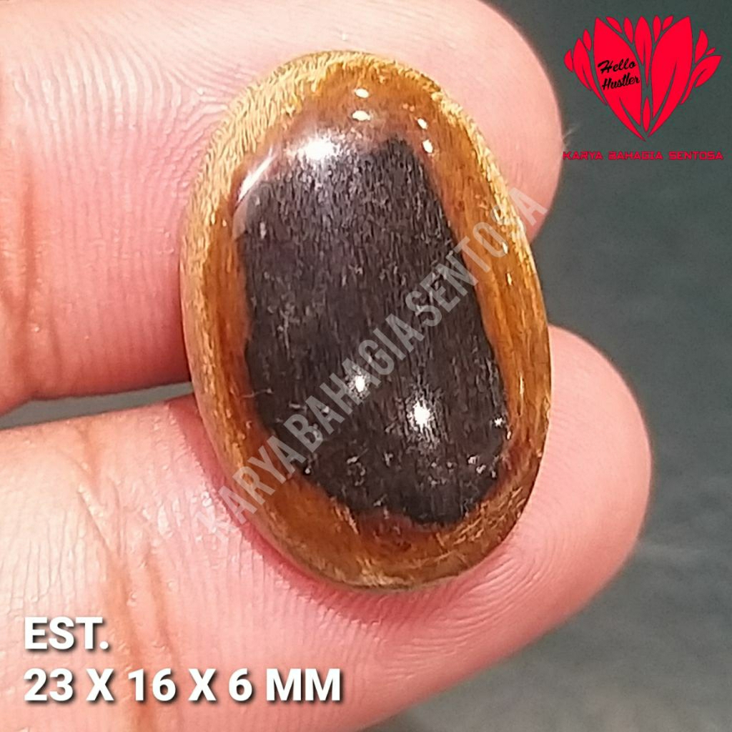 Natural Petrified Wood Signature Collection พลอยมะรุม