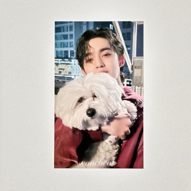 [READY] SEVENTEEN โฟโต้การ์ดอย่างเป็นทางการ SCOUPS KKUMA UMS