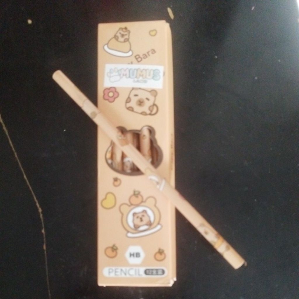 HB PENCIL 1 DOZEN/12 ชิ้น CAPYBARA MOTIF