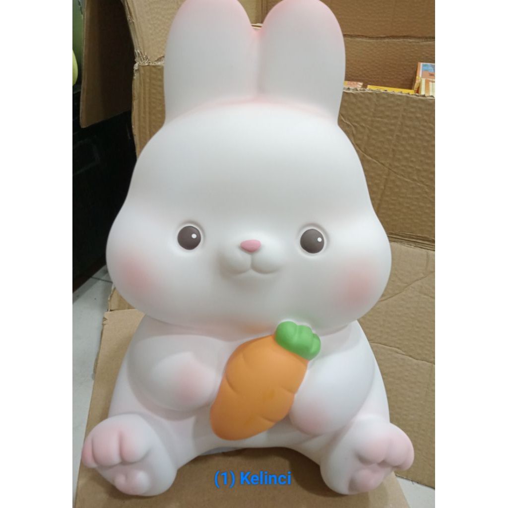 BANK COINS**********