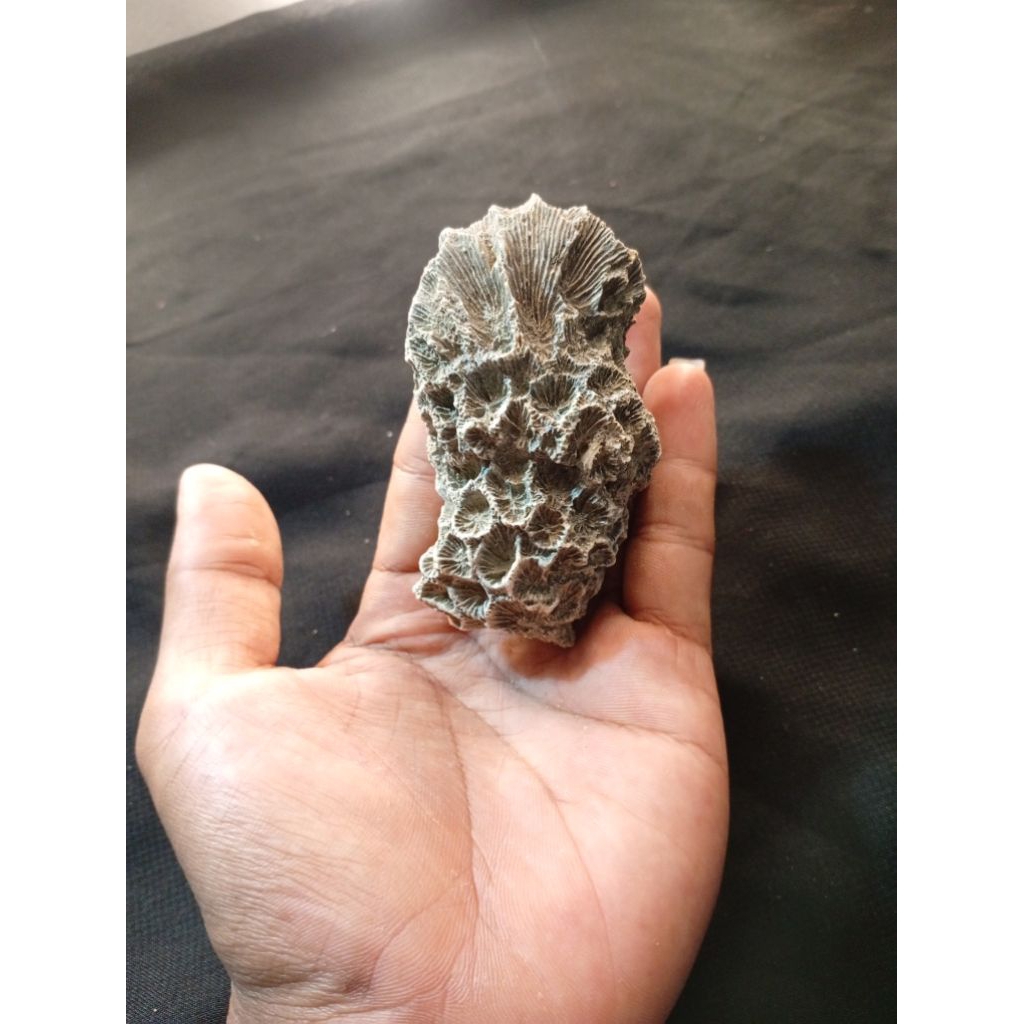 หินธรรมชาติไม่ซ้ําใคร A67