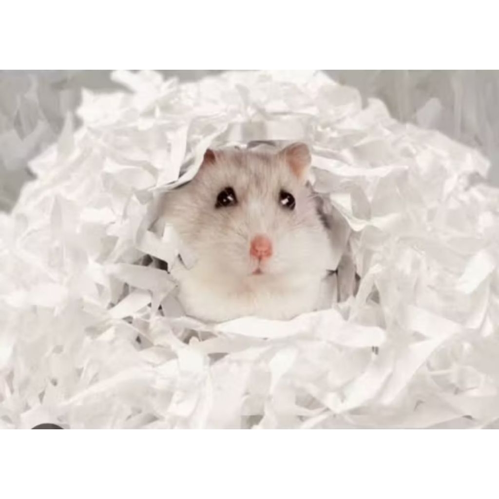 TISSUE BEDDING/TISSUE HAMSTER 50.grm 100.gram