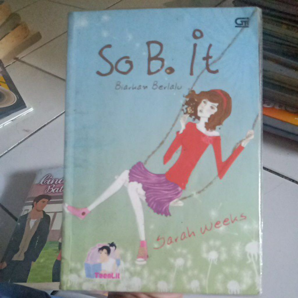 นวนิยายของ Sarah is so b it