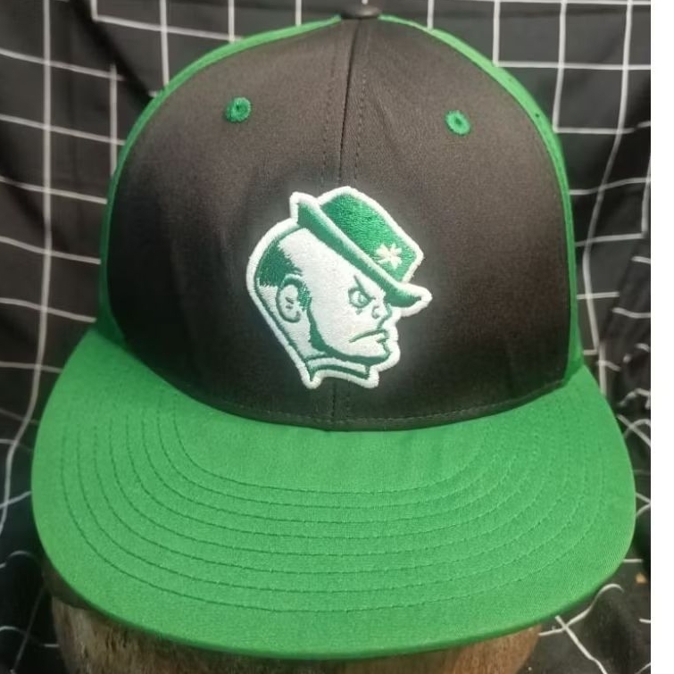 Snapback-Notre dame irish-Richardson