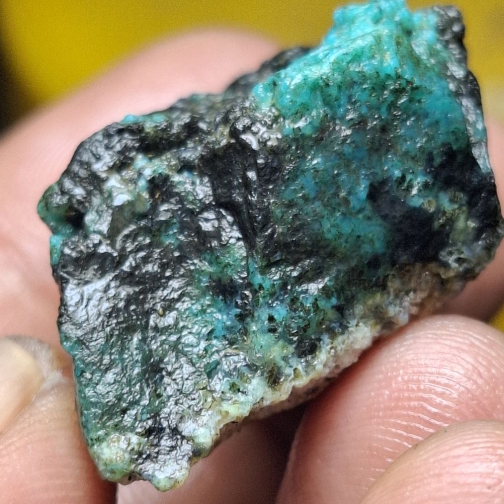 BACAN DOKO ติ่มซําธรรมชาติ 34x22x15