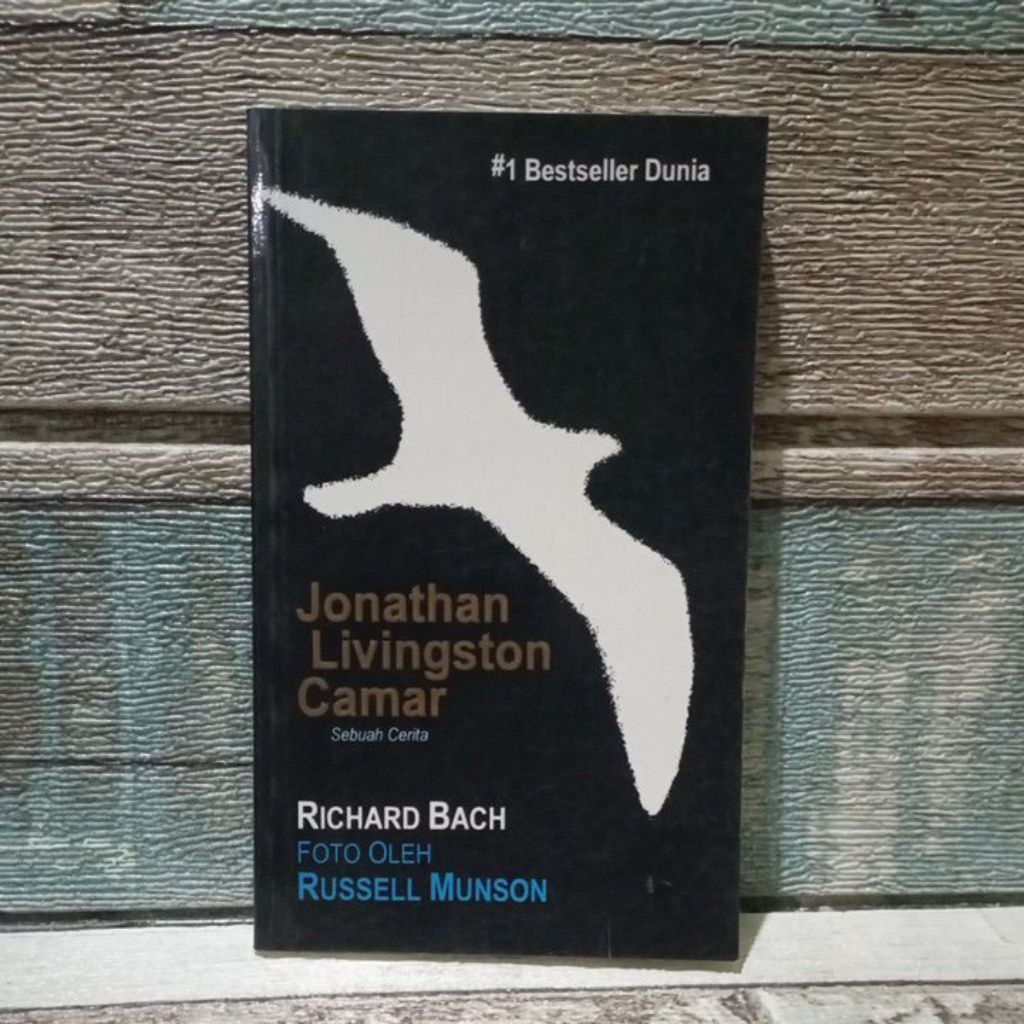 Jonathan livingstone seagull