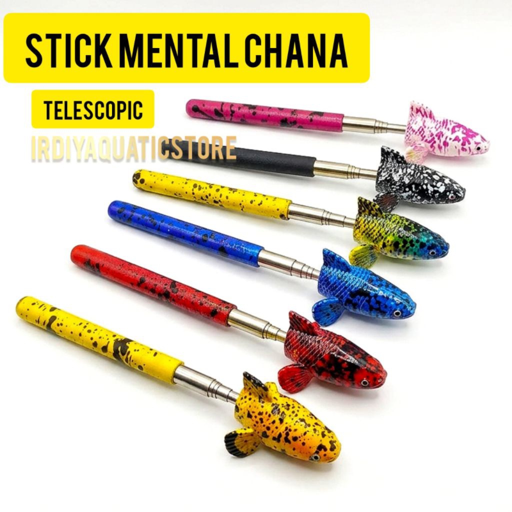 TELESCOPIC CHANA FISH MENTAL TRAINING STICK