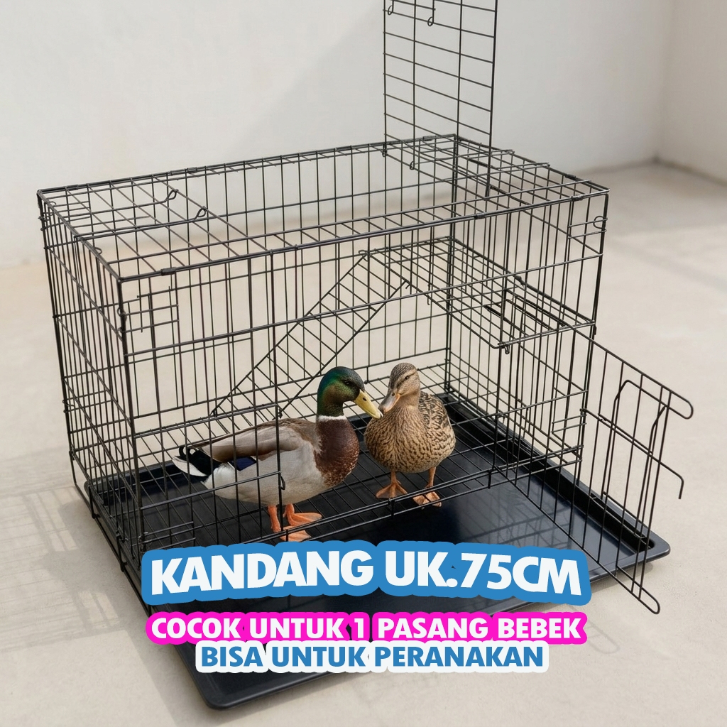 DUCK CAGE UK.75 - ฟรี LADDER RACK, NAME TAG, TRAY - UK.48 X 30 X 38, สามารถพับได้