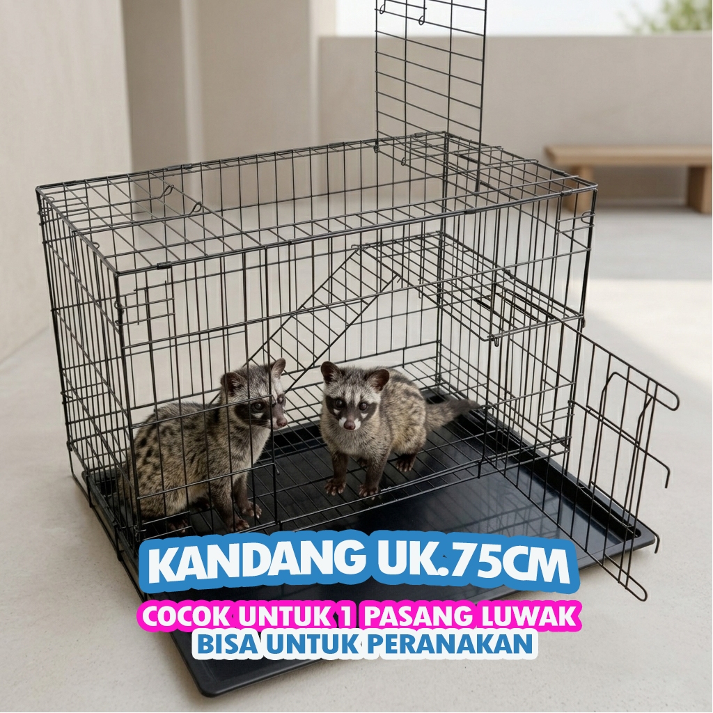 LUWAK CAGE UK.75 - ฟรี LADDER RACK, NAME TAG, TRAY - UK.48 X 30 X 38, สามารถพับได้