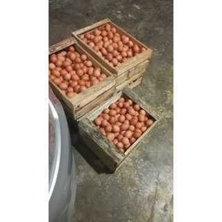 (Kediri Gurah)1 KG TELUR AYAM NEGERI SUPER & TELUR PUYUH khusus instan