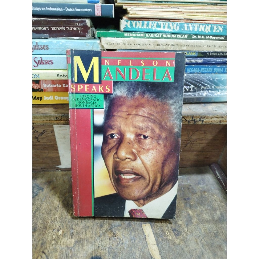 Nelson Mandela พูด: ปลอมประชาธิปไต, Nonracial South Africa