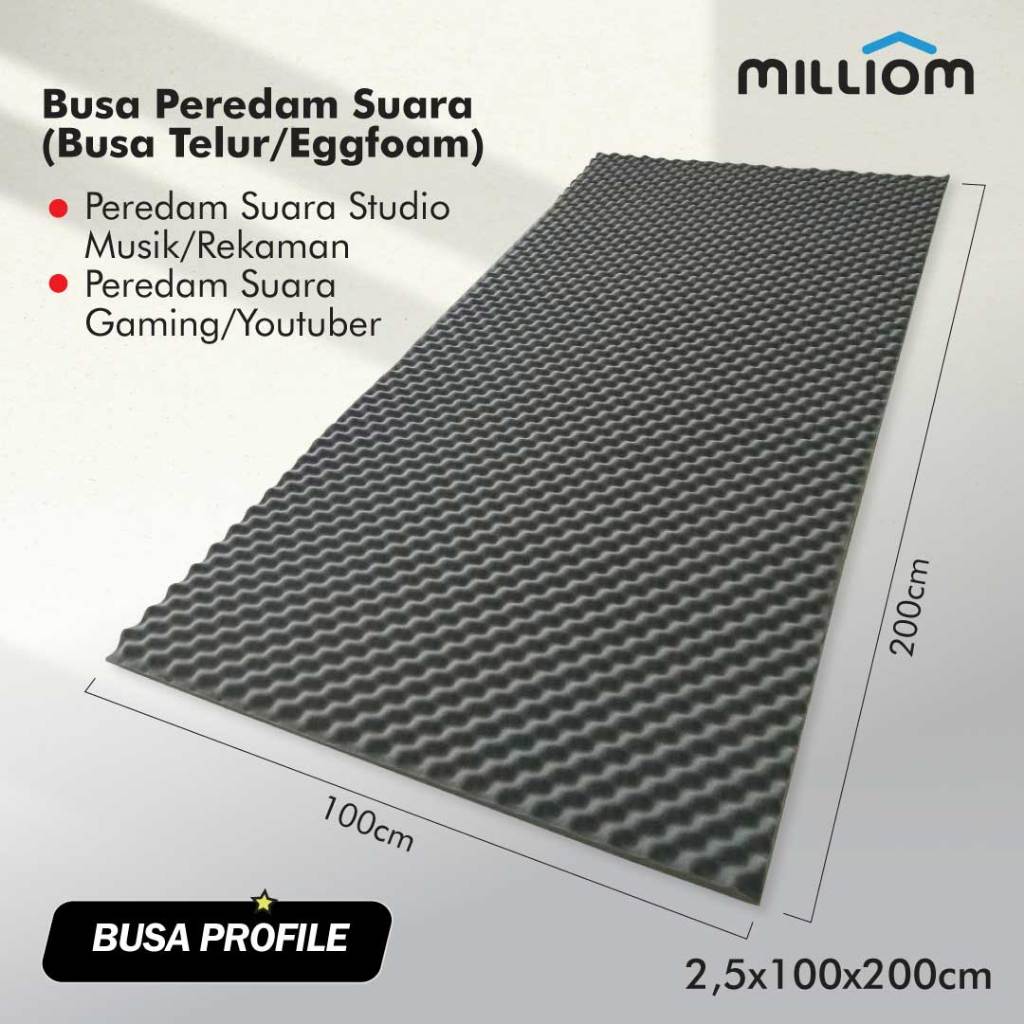 Music Studio Room โฟมกันเสียง ขนาด 2.5x100x200cm (THICK PLUS MINUS 2-3CM)