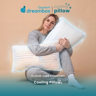 Bantal Dingin Dreambox Dual Comfort | Premium Cooling Pillow