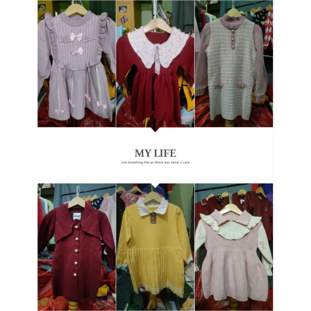 LINK CO 5 KG + ADMIN