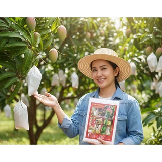 Pembungkus Buah di pohon - Fruit Cover - Brongsong Buah type S, M, L, XL, XXL, isi 25 pcs