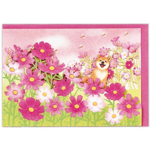 GREETING CARD- HALLMARK- COSMOS FLOWER & SHIBA INU- BLANC CARD- JP
