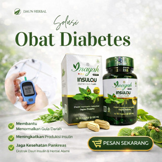 Obat Herbal Diabetes Insulqu Original