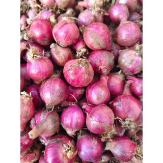BAWANG MERAH LOKAL SEDANG KECIL KERING 1 KG