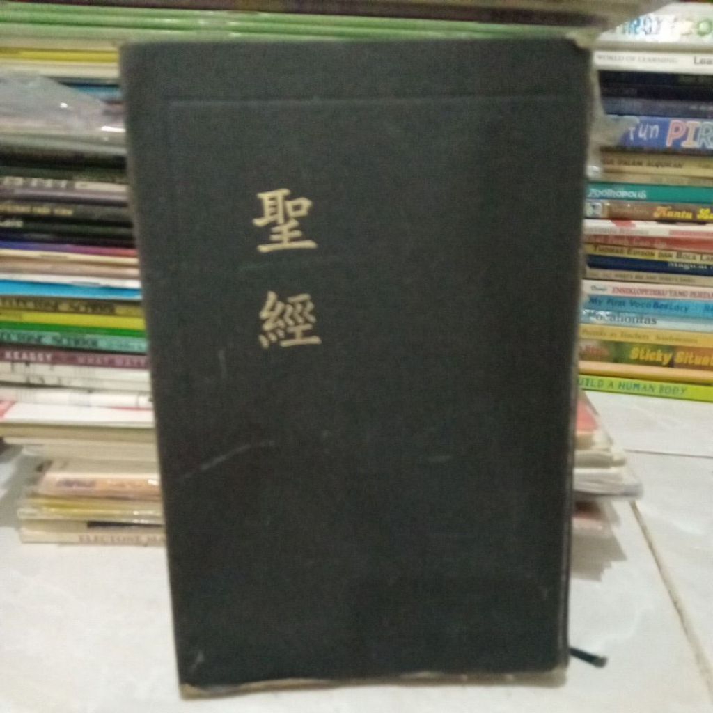 HOLY BIBLE CHINESE UNION VERSION