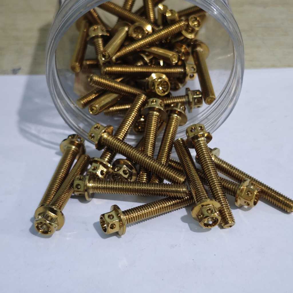 PROBOLT M6 X 40 BOLT THREAD 10 X 4CM GOLD