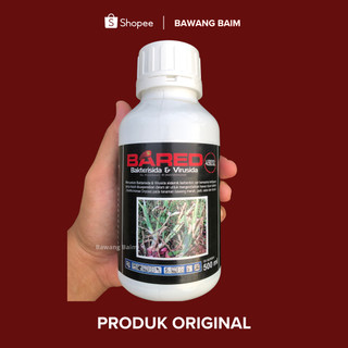 [ORIGINAL] Bared Bakterisida Pembasmi Jamur, Lodoh, Busuk daun, Gurem pada Bawang Merah dan Padi