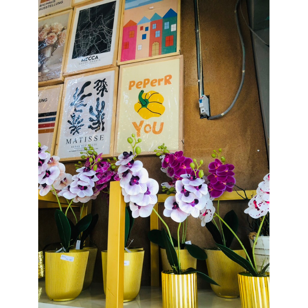 ชุดหม้อดอกไม้ ORCHID POT GOLD