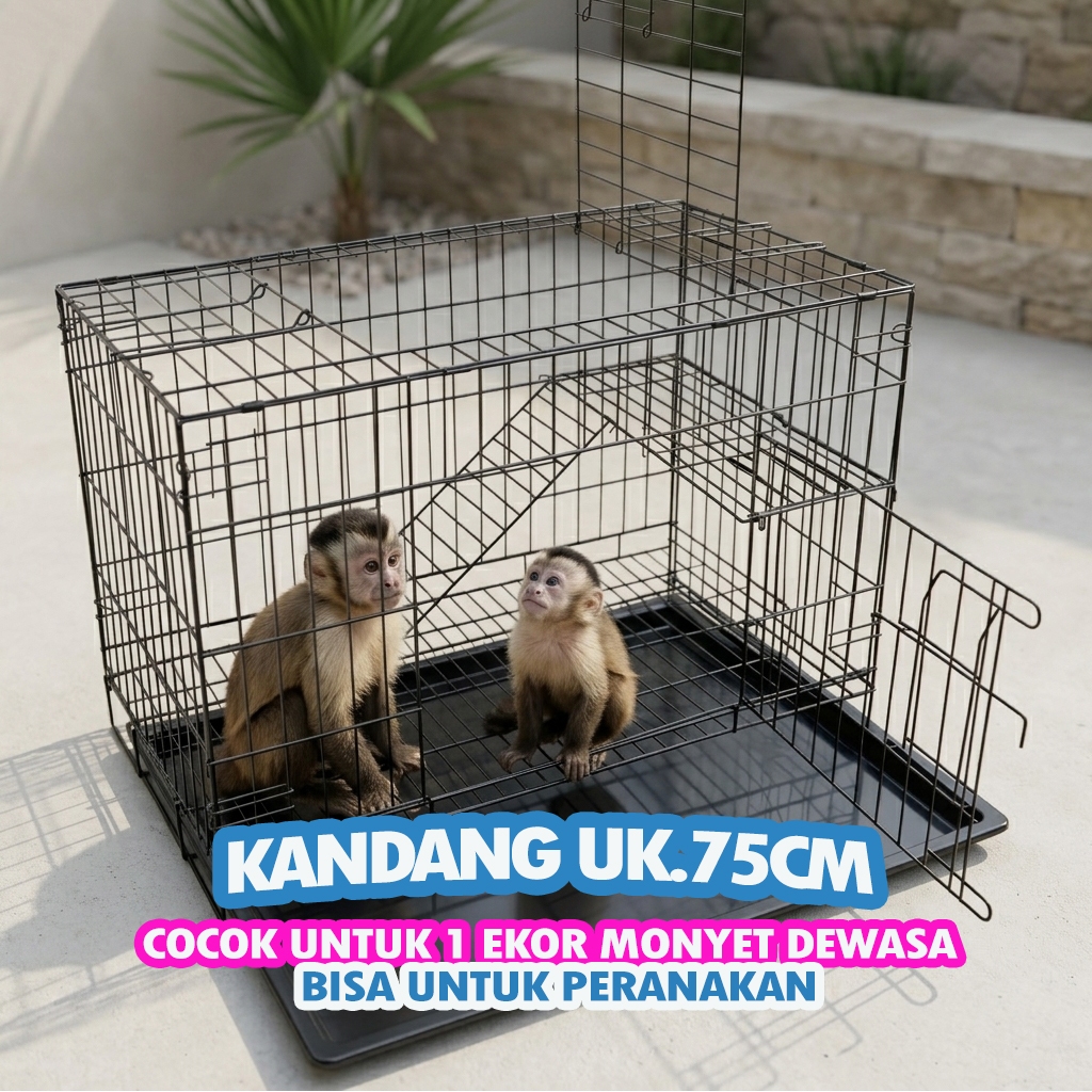 MONKEY CAGE UK.75 - ฟรี LADDER RACK, NAME TAG, TRAY - UK.48 X 30 X 38, สามารถพับได้