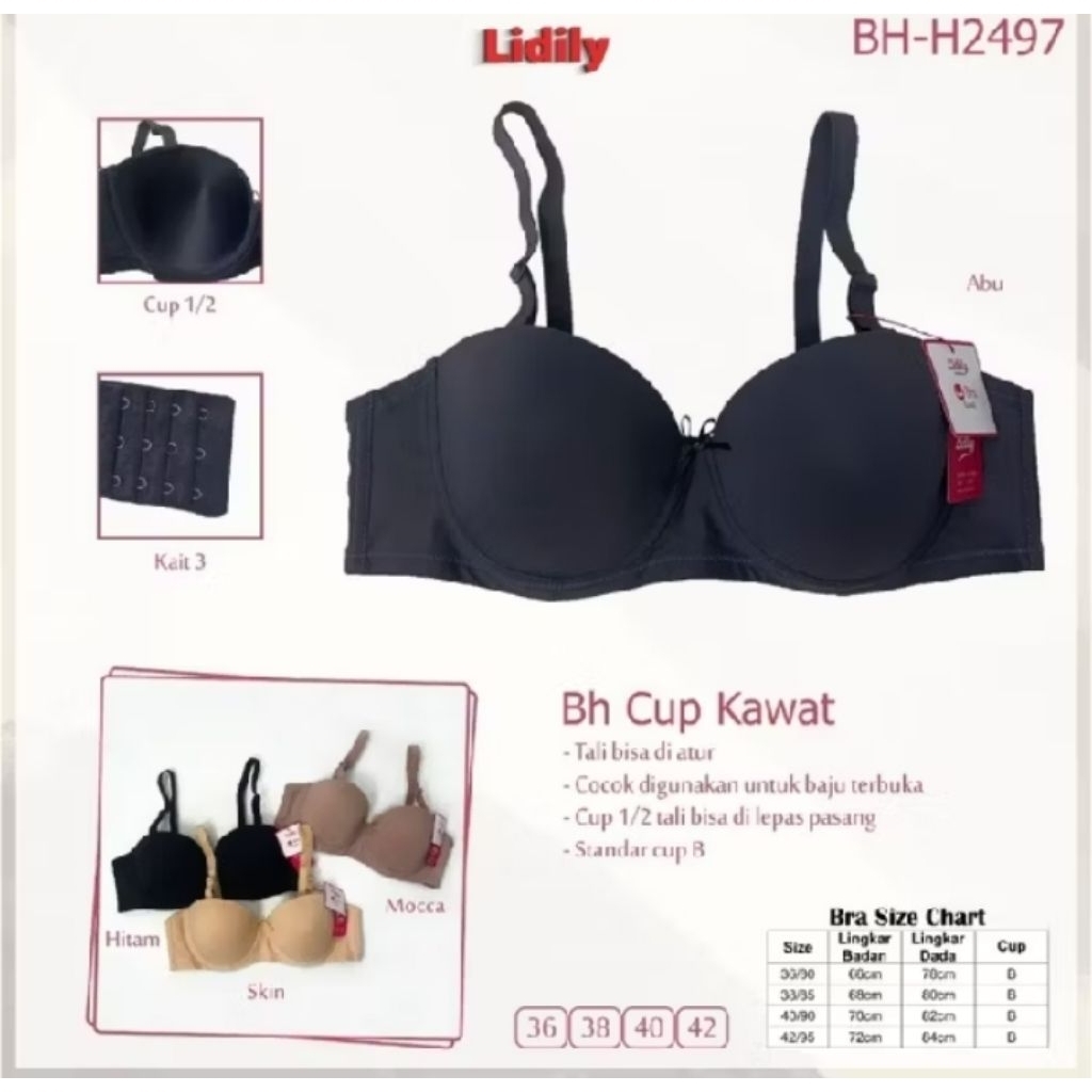 LIDILY H2497 บรามีโครงโฟม | ไซส์ 36D-42D | บรา LIDILY - Big Cup