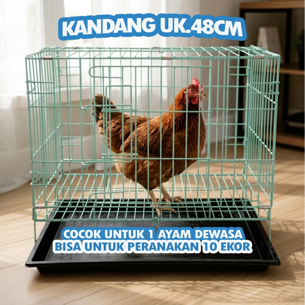CHICKEN CAGE UK.48 - ฟรี LADDER RACK, NAME TAG, TRAY - UK.48 X 30 X 38, สามารถพับได้