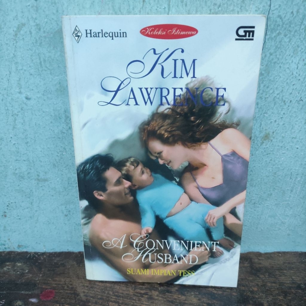 DREAM HUSBAND NOVEL TESS