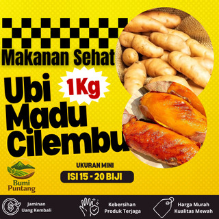 Ubi Cilembu madu Mini 1000 gram | isi 18 - 20 | ubi kukus | ubi rebus atau di oven