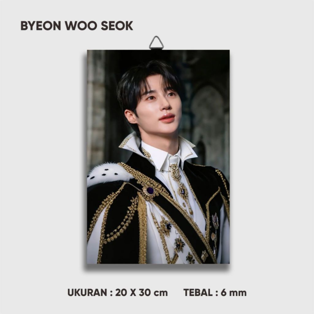 Walldecor Wall Display Byeon Woo Seok 3