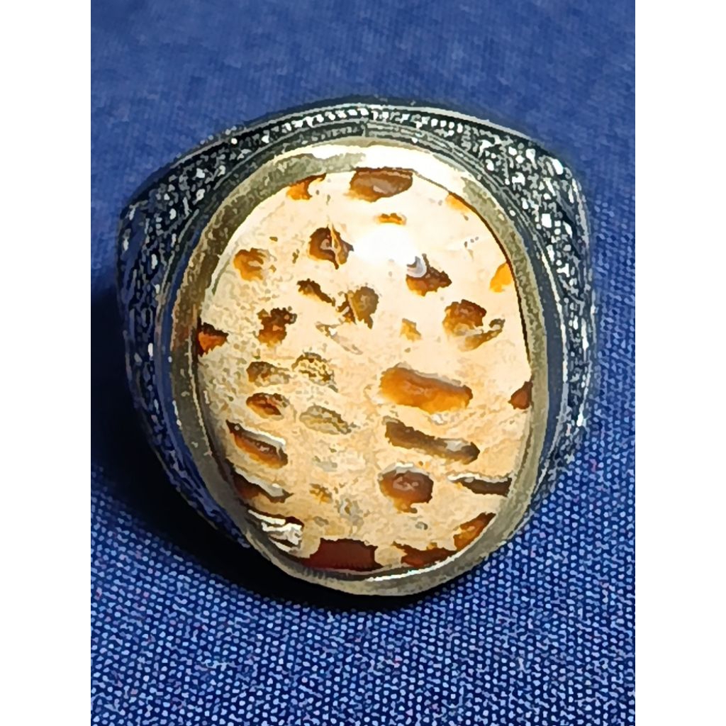 ไม้ฝังปาล์มธรรมชาติ, หินฟอสซิล DOT / Palm Wood, TOTOL