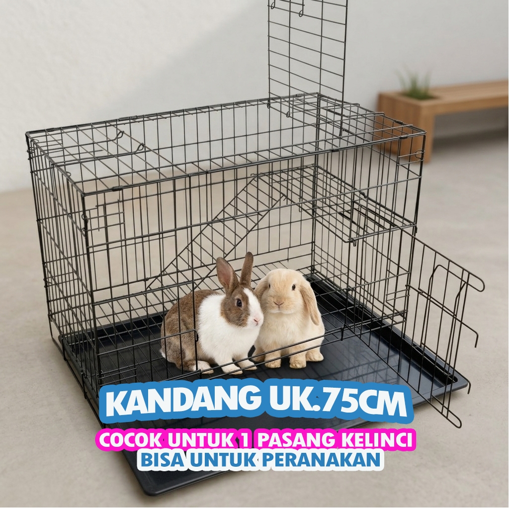 RABBIT CAGE UK.75 - ฟรี LADDER RACK, NAME TAG, TRAY - UK.48 X 30 X 38, สามารถเป็น FOLDED