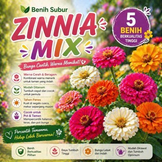 Benih Bunga Zinnia Mix Warna-Warni Unggul Isi 5 Biji Mudah Ditanam