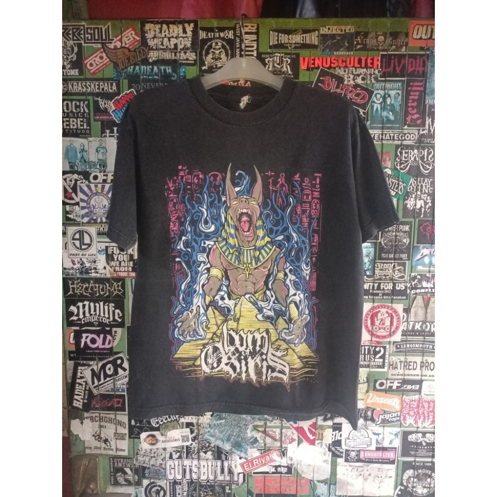 BORN OF OSIRIS******