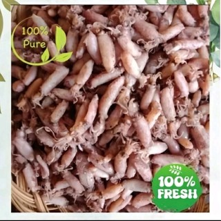 1KG Baby Cumi mini - cumi Asin termurah kesat terlezat kering
