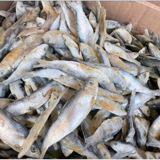 1KG Ikan Asin Sesek Ikan Asin Tembang Enak Gurih Termurah Bisa COD