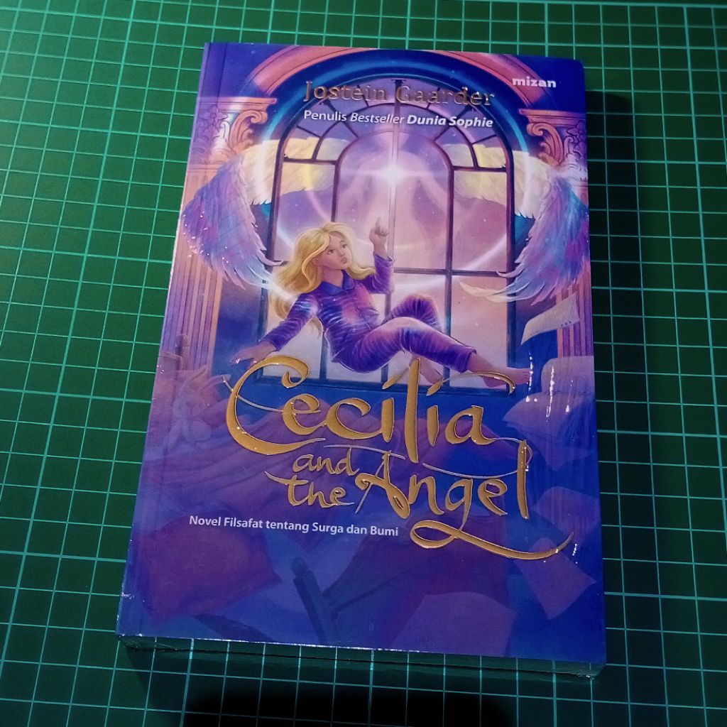 CECILIA และ THE ANGEL NOVEL (ขออนุญาต)